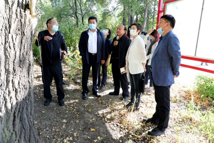 自治区检查组深入阿荣旗检查指导